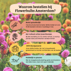 voordelen-flowerbulbs-amsterdam