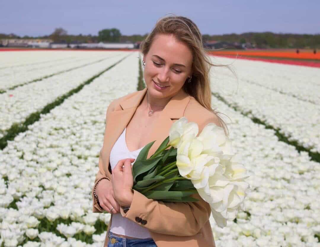 witte-tulpen-Purissima-Flowerbulbs-Amsterdam